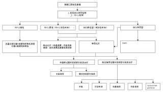 提升乳腺癌的检测与治疗策略