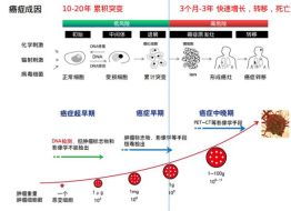 癌症研究的本质与意义是什么？