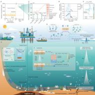 实现国家生物甲烷新战略目标需12万公顷土地与130万头奶牛